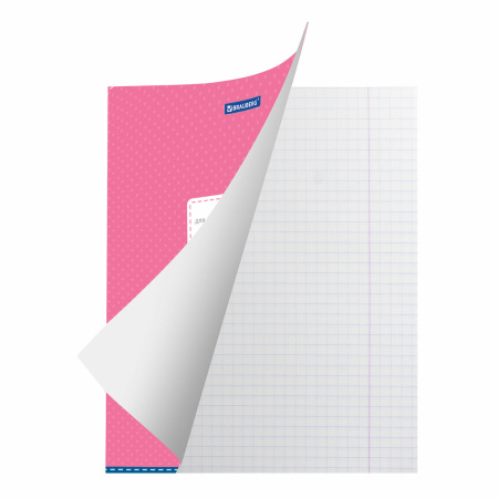 Тетрадь 12 л. BRAUBERG, клетка, обложка картон, ТОЧКИ, 103023 - Тетради 12-24 листов