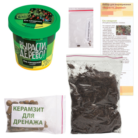 Набор для выращивания растений ВЫРАСТИ ДЕРЕВО! "Ель канадская голубая" (банка, грунт, семена), zk-048 - Наборы для выращивания растений