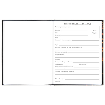 Дневник МП 1-11 класс 48 л., твердый, BRAUBERG, глянцевая ламинация, с подсказом, "Футбол", 106644 - Дневники универсальные