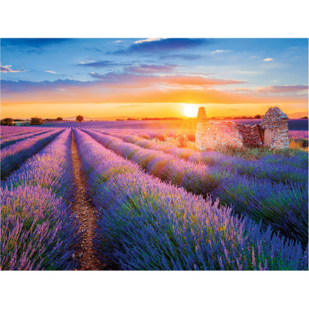Картина стразами (алмазная мозаика) 40х50 см, ОСТРОВ СОКРОВИЩ "Лавандовое поле", на подрамнике, 662426 - Алмазная вышивка