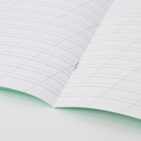 Тетрадь ВЕЛИКИЕ ИМЕНА. Есенин С.А., 12 л. косая линия, плотная бумага 80 г/м2, обложка тонированный офсет, BRAUBERG, 105714 - Тетради 12-24 листов