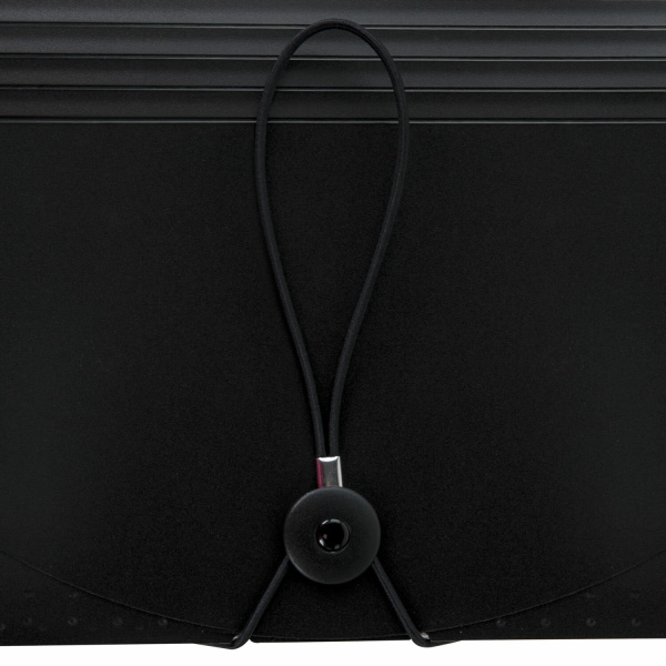 Папка-органайзер для бумаг и документов на резинке, 13 отделений, BRAUBERG DOCS, А4, черная, 271152 - Папки пластиковые с отделениями