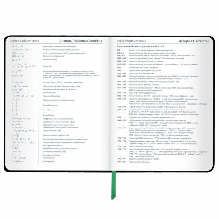 Дневник 1-11 класс 48 л., кожзам (твердая с поролоном), флуоресцентный, BRAUBERG, "Avocado", 106200 - Дневники универсальные