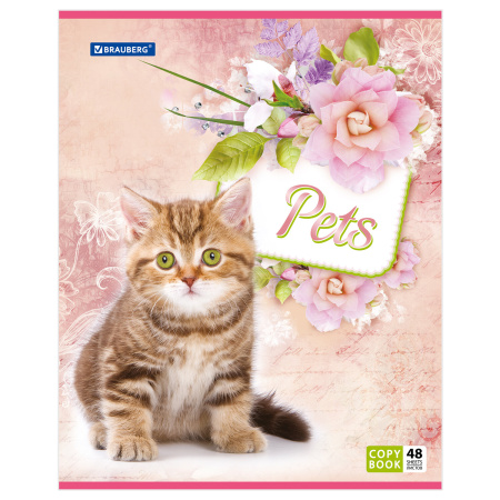 Тетрадь А5, 48 л., BRAUBERG, скоба, клетка, обложка картон, ЛЮБИМЧИКИ, 401816 - Тетради 40-48 листов