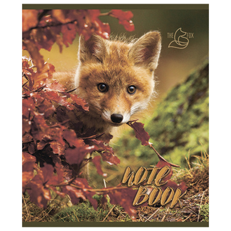 Тетрадь А5, 48 л., ПЗБМ, скоба, клетка, конгрев, глянцевый лак, "Хитрый лис" (5 видов), 028061 - Тетради 40-48 листов