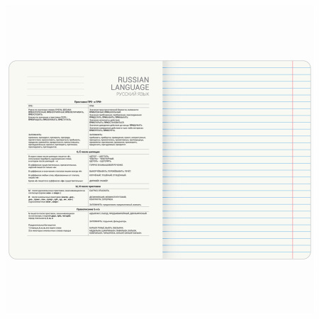 Тетрадь предметная "КОТ-ЭНТУЗИАСТ" 48 л., TWIN-лак, РУССКИЙ ЯЗЫК, линия, подсказ, BRAUBERG, 404565 - Тетради предметные