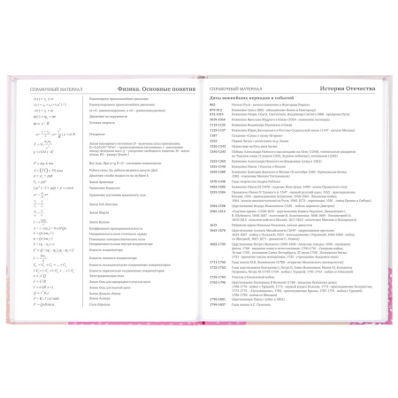 Дневник 5-11 класс 48 л., твердый, BRAUBERG, глянцевая ламинация, с подсказом, "Летний", 106631 - Дневники для старших классов