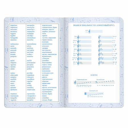 Дневник для музыкальной школы 140х210 мм, 48 л., обложка кожзам твердая, фольга, BRAUBERG, справочный материал, темно-синий, 105500 - Дневники для музыкальной школы