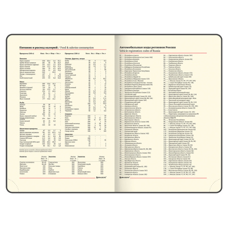Ежедневник недатированный А5 138х213 мм BRAUBERG "Iguana" под кожу, 160 л., черный, 125089 - Ежедневники с покрытием "под кожу и ткань"