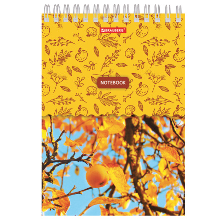 Блокнот А5 146х205 мм, 60 л., гребень, картон, жесткая подложка, клетка, BRAUBERG, "Четыре сезона", 129811 - Блокноты