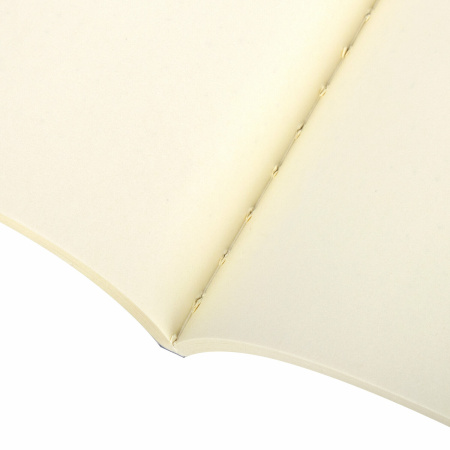 Тетради--скетчбуки 40 л. обложка SoftTouch, НАБОР 3 шт., бежевая бумага 70 г/м2, сшивка, А5 (147х210 мм), СИМПАТЯГИ, BRAUBERG, 403806 - Тетради 40-48 листов