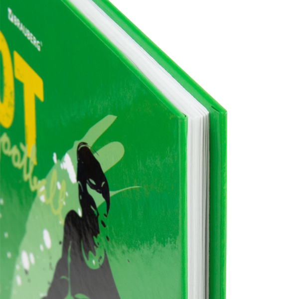 Дневник 5-11 класс 48 л., твердый, BRAUBERG, глянцевая ламинация, с подсказом, "Football", 106405 - Дневники для старших классов