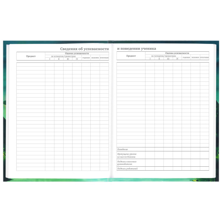 Дневник 5-11 класс 48 л., твердый, BRAUBERG, глянцевая ламинация, с подсказом, "Мир Будущего", 106627 - Дневники для старших классов