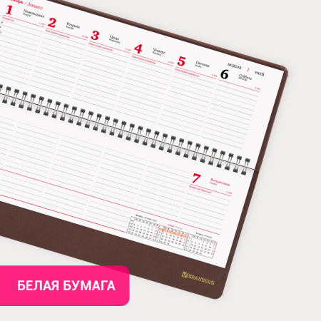 Планинг датированный 2024 305х140 мм, BRAUBERG "Select", балакрон, коричневый, 114817 - Планинги