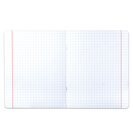 Тетрадь 12 л. BRAUBERG ЭКО "5-КА", крупная клетка, обложка плотная мелованная бумага, ЗЕЛЕНАЯ, 104761 - Тетради 12-24 листов