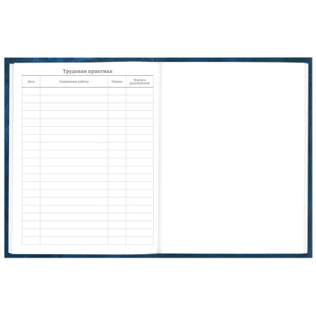 Дневник 5-11 класс 48 л., твердый, BRAUBERG, глянцевая ламинация, с подсказом, "Мотивация", 106630 - Дневники для старших классов