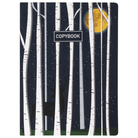 Тетради 60 л. в точку обложка SoftTouch, НАБОР 2 шт., бежевая бумага 70 г/м2, сшивка, B5 (179х250 мм), НОЧЬ, BRAUBERG, 403829 - Тетради более 60 листов