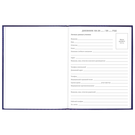 Дневник 5-11 класс 48 л., твердый, BRAUBERG, глянцевая ламинация, с подсказом, "Music", 106623 - Дневники для старших классов