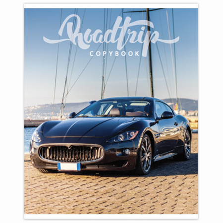 Тетрадь А5, 48 л., BRAUBERG, скоба, линия, обложка картон, МИКС, 403040 - Тетради 40-48 листов