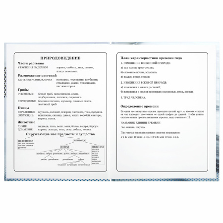 Дневник 1-4 класс 48 л., твердый, BRAUBERG, выборочный лак, с подсказом, "Авто Мечты", 106363 - Дневники для младших классов