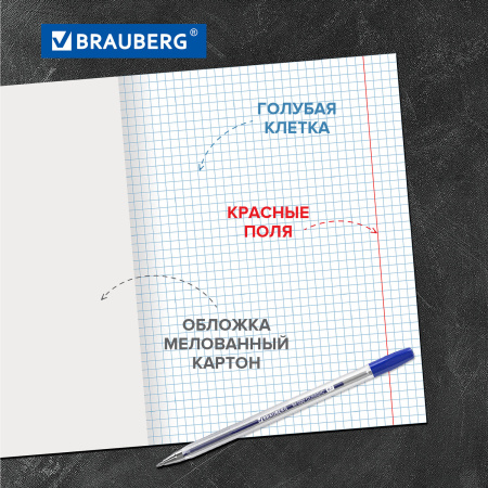 Тетради 12 л. КОМПЛЕКТ 20 шт. BRAUBERG "EXTRA", клетка, плотная бумага 80 г/м2, обложка картон, 880068 - Тетради 12-24 листов