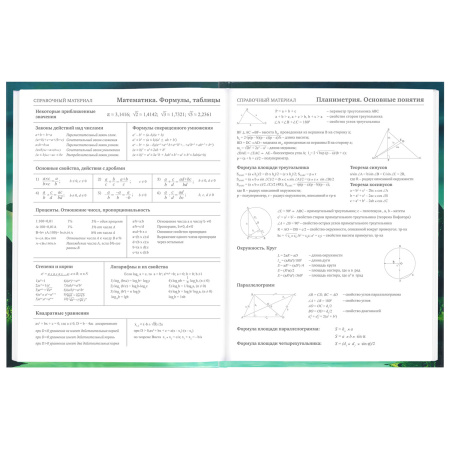Дневник 5-11 класс 48 л., твердый, BRAUBERG, глянцевая ламинация, с подсказом, "Мир Будущего", 106627 - Дневники для старших классов