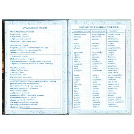 Дневник для музыкальной школы 140х210 мм, 48 л., твердый, BRAUBERG, выборочный лак, справочный материал, "Симфония", 103601 - Дневники для музыкальной школы