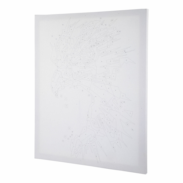 Картина по номерам 40х50 см, ОСТРОВ СОКРОВИЩ "Хищник", на подрамнике, акрил, кисти, 663357 - Картины по номерам