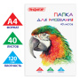 Папка для рисования, А4, 40 л., 120 г/м2, ПИФАГОР, 210х297 мм, "Попугай", 129222 - Альбомы и папки для рисования