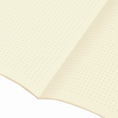 Тетрадь 48 л. в точку обложка кожзам SoftTouch, сшивка, A5 (147х210мм), БЕЛЫЙ, BRAUBERG RAINBOW, 403884 - Тетради 40-48 листов