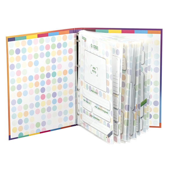 Папка-портфолио дошкольника "ДИНОЗАВР", 4 кольца, 20 файлов, 10 вкладышей, 7БЦ матовая, BRAUBERG KIDS, 115238 - Портфолио