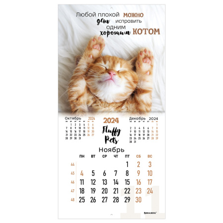 Календарь настенный перекидной на 2024 г., BRAUBERG, 12 листов, 29х29 см, "Кошечки", 115315 - Календари настенные