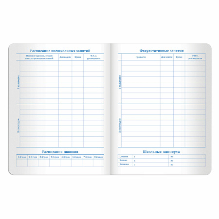 Дневник 1-11 класс 48 л., кожзам (твердая с поролоном), тиснение аппликация, BRAUBERG, "СЛАДОСТИ", 105487 - Дневники универсальные