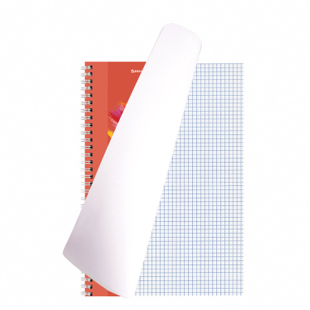 Тетрадь А4, 120 л., BRAUBERG гребень, клетка, обложка картон, "Vision", 404070 - Тетради формата А4
