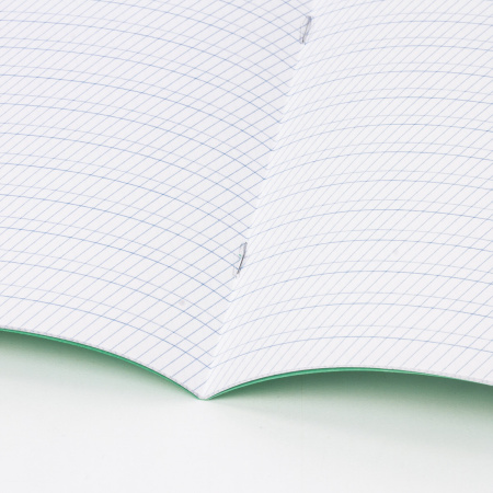 Тетради 12 л. КОМПЛЕКТ 20 шт. BRAUBERG КЛАССИКА NEW, частая косая линия, обложка картон, ЗЕЛЕНАЯ, 880055 - Тетради 12-24 листов