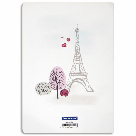 Тетрадь-скетчбук 40 л. обложка SoftTouch, бежевая бумага 70 г/м2, сшивка, А5 (147х210 мм), CHARM, BRAUBERG, 403804 - Тетради 40-48 листов