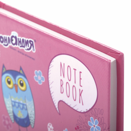Блокнот МАЛЫЙ ФОРМАТ 110х147 мм А6, 80 л., твердый, клетка, ЮНЛАНДИЯ, "Совушки", 111618 - Блокноты в книжном переплете