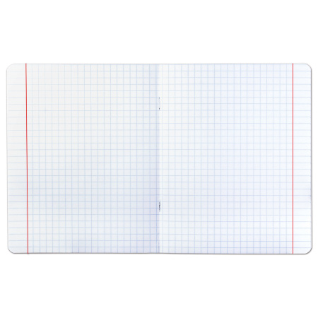 Тетрадь 12 л. BRAUBERG КЛАССИКА NEW крупная клетка, обложка картон, ЗЕЛЕНАЯ, 105689 - Тетради 12-24 листов