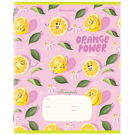 Тетрадь 18 л. BRAUBERG линия, обложка картон, "ФРУКТЫ", 106482 - Тетради 12-24 листов