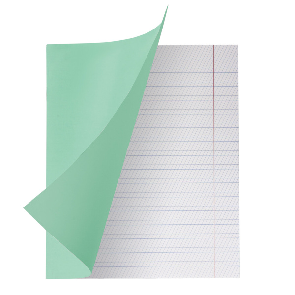 Тетрадь ВЕЛИКИЕ ИМЕНА. Толстой Л.Н., 12 л. частая косая линия, плотная бумага 80 г/м2, обложка тонированный офсет, BRAUBERG, 105719 - Тетради 12-24 листов