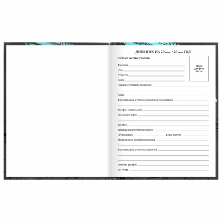 Дневник 1-11 класс 40 л., твердый, BRAUBERG, глянцевая ламинация, "Байк", 106614 - Дневники универсальные