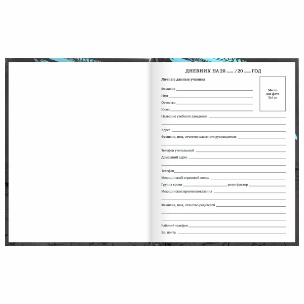 Дневник 1-11 класс 40 л., твердый, BRAUBERG, глянцевая ламинация, "Байк", 106614 - Дневники универсальные