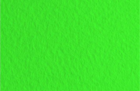Бумага для пастели TIZIANO 160г/кв.м 500х650мм цв.№12 зеленый луг