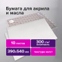 Бумага для акриловых и масляных красок, 300 г/м2, 390x540 мм, 10 листов, BRAUBERG ART PREMIERE, 113269 - Альбомы и бумага для акварели и масла