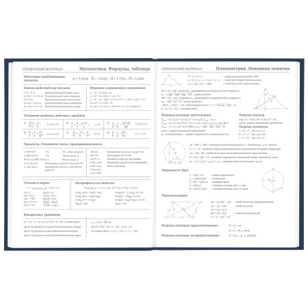 Дневник 5-11 класс 48 л., твердый, BRAUBERG, выборочный лак, с подсказом, "Футбол", 106636 - Дневники для старших классов
