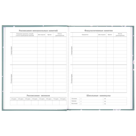 Дневник 5-11 класс 48 л., твердый, BRAUBERG, блестки, с подсказом, "Кактусы", 106420 - Дневники для старших классов