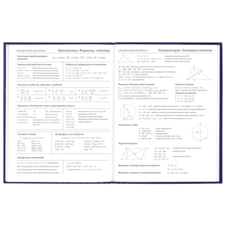 Дневник 5-11 класс 48 л., твердый, BRAUBERG, глянцевая ламинация, с подсказом, "Music", 106623 - Дневники для старших классов