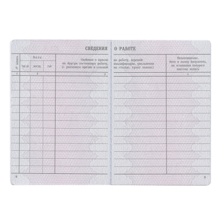 Бланк документа "Вкладыш в трудовую книжку", 88х125 мм, ГОЗНАК - Бланки документов