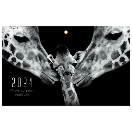 Календарь квартальный на 2024 г., 3 блока, 3 гребня, с бегунком, мелованная бумага, EXTRA, BRAUBERG, "Нежность", 115307 - Календари настенные