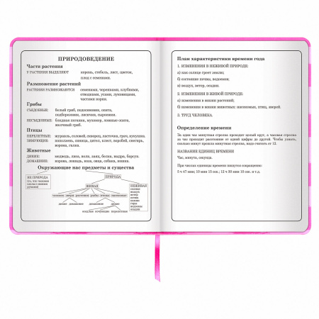 Дневник 1-4 класс 48 л., кожзам (твердая с поролоном), печать, аппликация, ЮНЛАНДИЯ, "АВАКОТ", 105938 - Дневники для младших классов